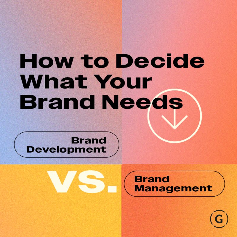 Brand development vs brand management