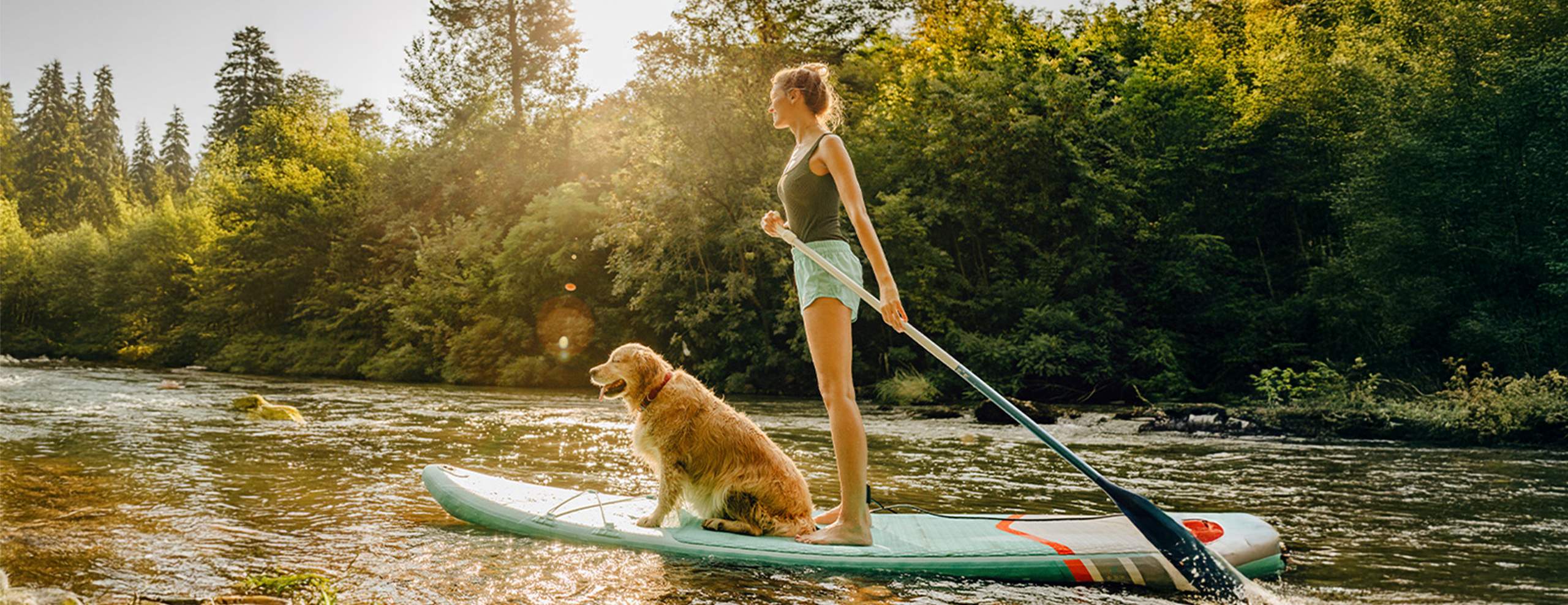 A B2B2C Sales Program to Protect Pet Health